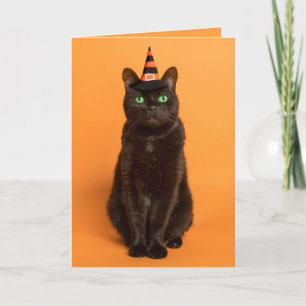 Frohes Halloween für jeden schwarzen Kater im Hexe Feiertagskarte