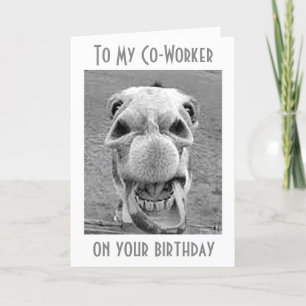 FROHES HE HAW "GEBURTSTAG" MEINEM *KOLLEGEN* KARTE