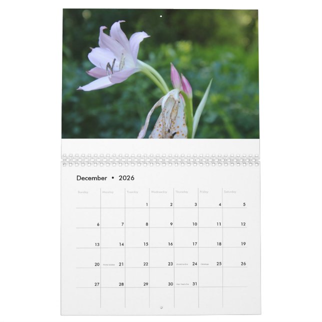 Frohes neues Jahr Kalenderjahr 2025 Kalender (Dez 2026)