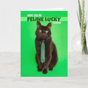 Frohes St. Patrick's Day Lustige Katze im Kleeblat Feiertagskarte