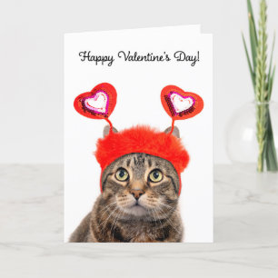 Frohes Valentinstag für irgendeine getigerte Katze Feiertagskarte