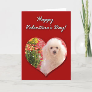Frohes Valentinstag Poodle Karte