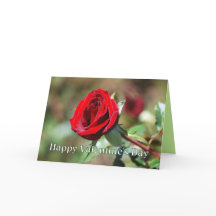 Frohes Valentinstag Rote Rosen Karte