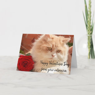 Frohes Valentinstag von Ihrer Katsonova Katze Karte