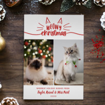 Frohes Weißes Meowy Weihnachten 2 Katzenfotos Weih