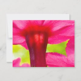 Fröhlich, fröhlich, rosa Blume Postkarte