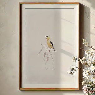 Fröhliche amerikanische Goldfinch singende Wasserf Poster
