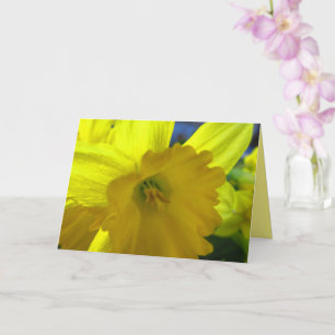 Fröhliche Gelbe Daffodil Narcissus Frühlingsblumen Karte
