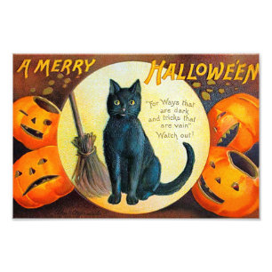 Fröhliche Halloween-Katze Fotodruck