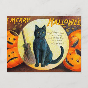 Fröhliche Halloween-Katze Postkarte