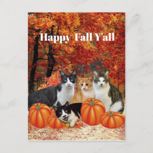 Fröhliche Herbstgrüße an alle Katzen und Kürbisse Postkarte