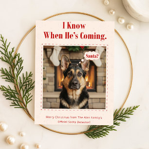 Fröhliche Howlidays Süße Tier-Foto Hund Weihnachte Feiertagskarte