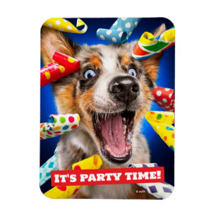 Fröhliche Hundeparty-Tutgeräte Magnet
