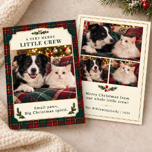 Fröhliche kleine Crew Hund Katze Foto Tartan Weihn Feiertagskarte