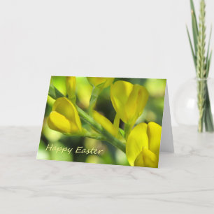 Fröhliche Ostern Feiertagskarte