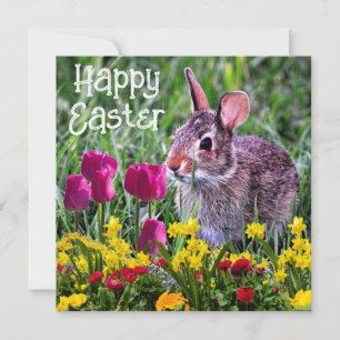 Fröhliche Ostern Hasen Frühjahrsblumen Feiertagska
