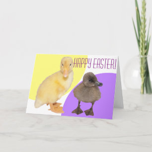 Fröhliche Ostern Liebenswerte Flauschige Entlein F Feiertagskarte