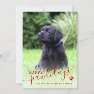 Fröhliche Pawlidays Hunde-Foto Moderne Weihnachts- Feiertagskarte