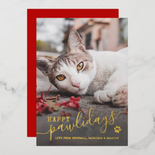 Fröhliche Pawlidays Katzenfoto Haustier Rot Weihna Folien Feiertagskarte
