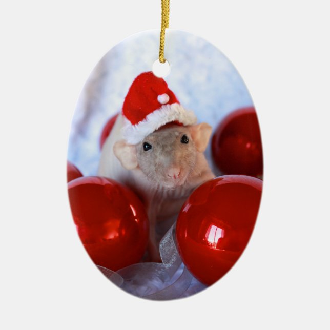 Fröhliche Ratsmas Christmast Verzierung Keramikornament (Vorne)