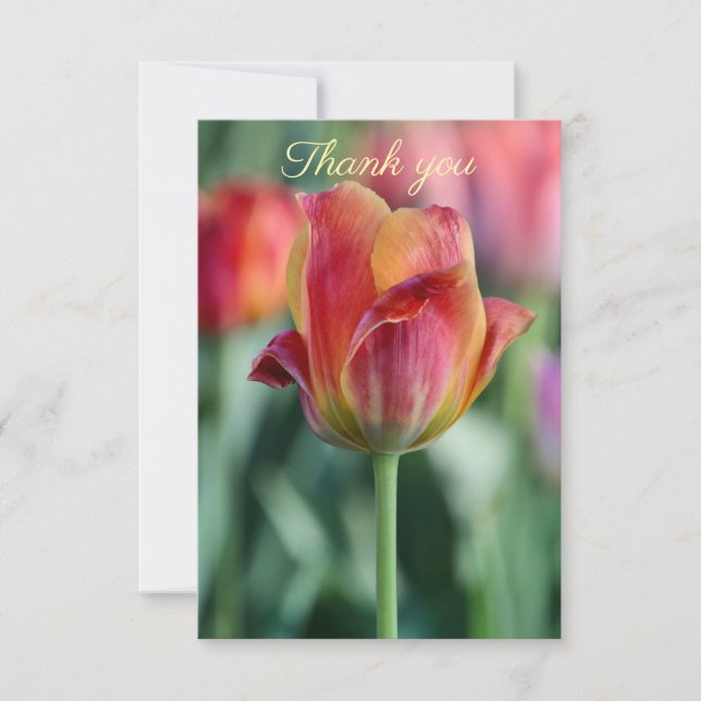 Fröhliche Tulpen-Dankeskarten Dankeskarte (Vorderseite)