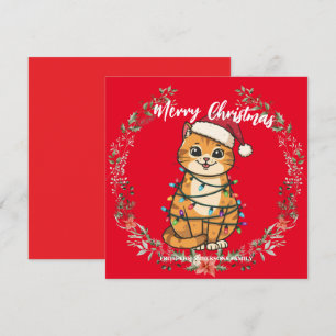 Fröhliche und strahlende Katze Weihnachten Kätzche