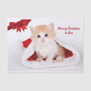 Fröhliche Weihnachten an dich süße Katze im Weihna Seidenpapier