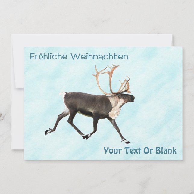 Fröhliche Weihnachten - Karibik (Reindeer) auf Sno (Vorderseite)