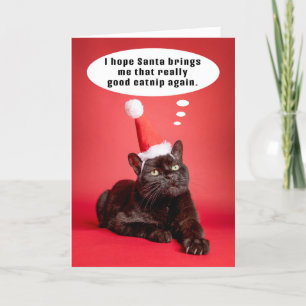 Fröhliche Weihnachten Lustige Katze denkt an Katze