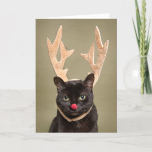 Fröhliche Weihnachten Lustige Katze mit Rentiergew