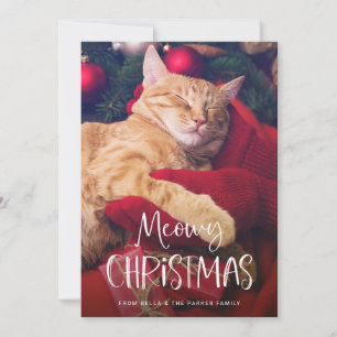 Fröhliche Weihnachten mit Mieze   Lustiges Katzenf
