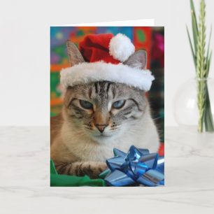 Fröhliche Weihnachten (selbst wenn du unartig bist