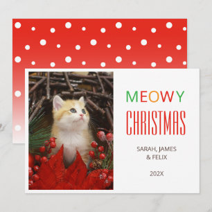 Fröhliche Weihnachten Süße Katze Foto Tierliebhabe