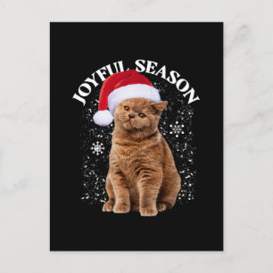 Fröhliche Weihnachtsmann-Mützen-Katze Weihnachten Postkarte