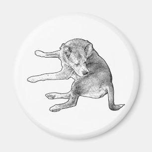Fröhlicher Hundeplatz Magnet