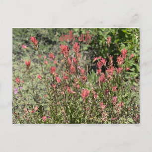 Fröhlicher Juli Postkarte