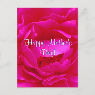 Fröhlicher Muttertag Rosa Rose Postkarte