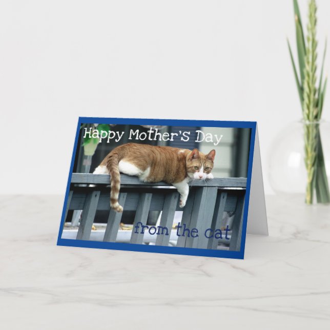 Fröhlicher Muttertag von Katze Karte (Vorderseite)