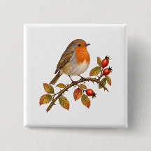 Fröhlicher Robin mit Rosenhüften und Herbstlaub