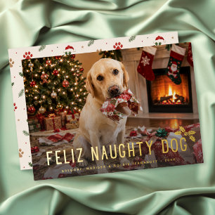 Fröhlicher Unartiger Hund Lustiges Foto Weihnachte Folien Feiertagskarte