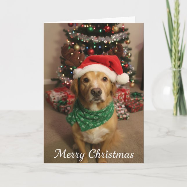 Fröhlicher Weihnachtshund Karte (Vorderseite)