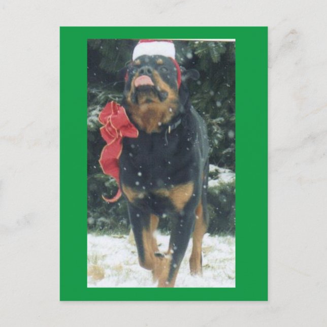 fröhlicher Weihnachtsrottweiler mit Weihnachtsmann Postkarte (Vorderseite)