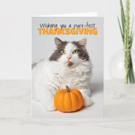 Fröhliches Dankeschön Niedliche Kätzchen mit Pumpk Feiertagskarte