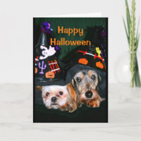 Fröhliches Halloween - keine Angst vor der Rinde!