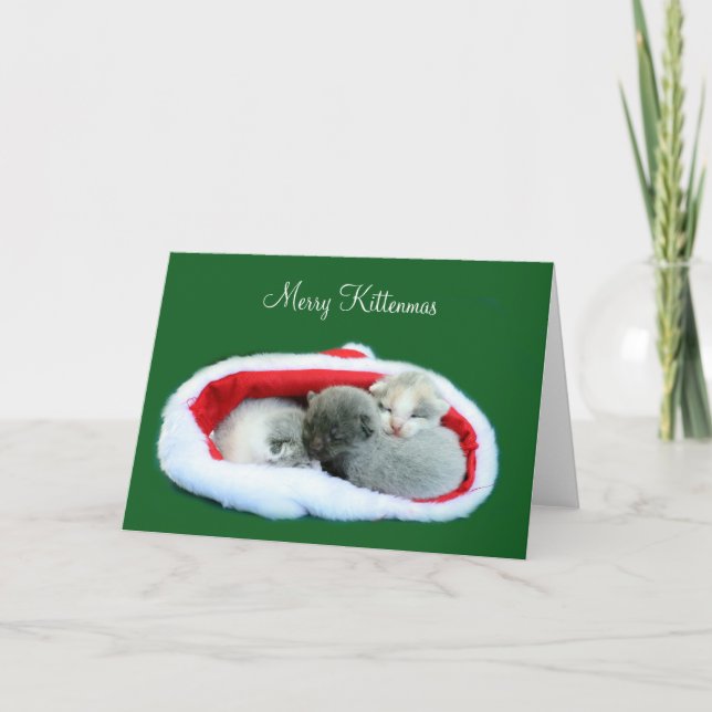 Fröhliches Kittenmas Feiertagskarte (Vorderseite)