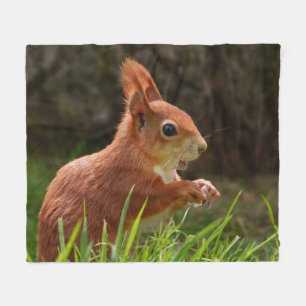 Fröhliches Rotes Eichhörnchen Fleecedecke