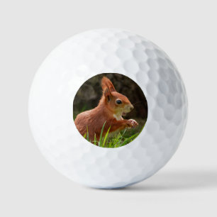 Fröhliches Rotes Eichhörnchen Golfball