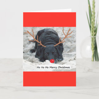 Fröhliches Weihnachten