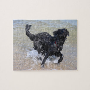 Frolcking Dog   Schwarzer Labrador-Splashing in Wa Puzzle