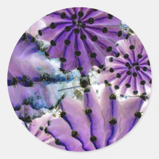 From Space Runder Aufkleber